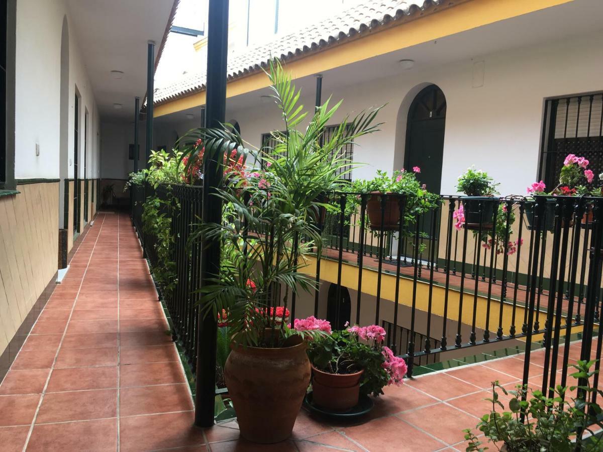Cosy With Terrace In The Centre Of Apartamento Sevilha
