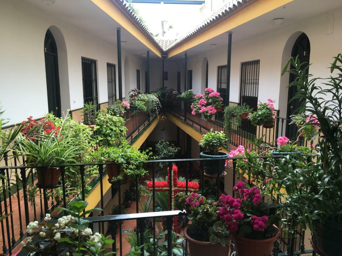 Cosy With Terrace In The Centre Of Apartamento Sevilha