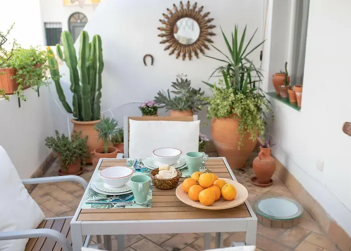 Cosy Apartment With Terrace In The Centre Of Seville
